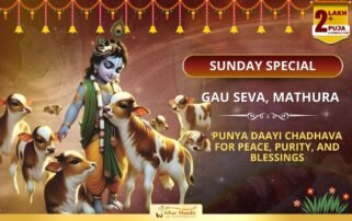 Ek Seva, Teen Vardaan – Pitru Shanti, Santan Sukh & Dhan Vriddhi This Ekadashi