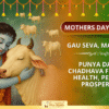 Mother’s Day Special Gau Seva in Mathura – For Health, Peace & Prosperity